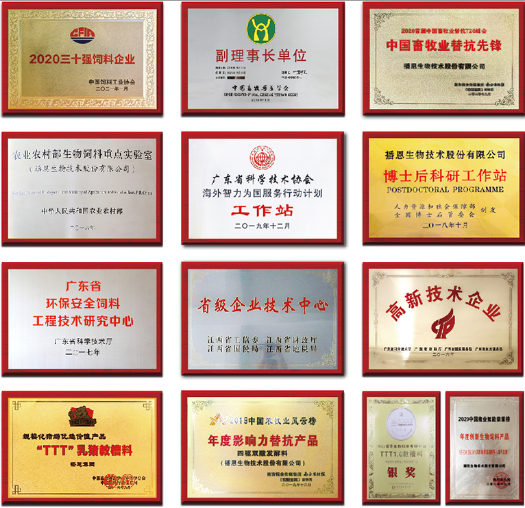 新宝GG「创造奇迹的游戏平台」